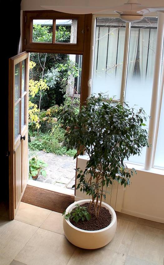 Appartement Atelier d’artiste # Artiste Loft # 35m2 à Paris Extérieur photo